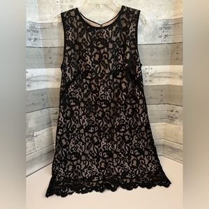 Anne Taylor Loft black lace dress